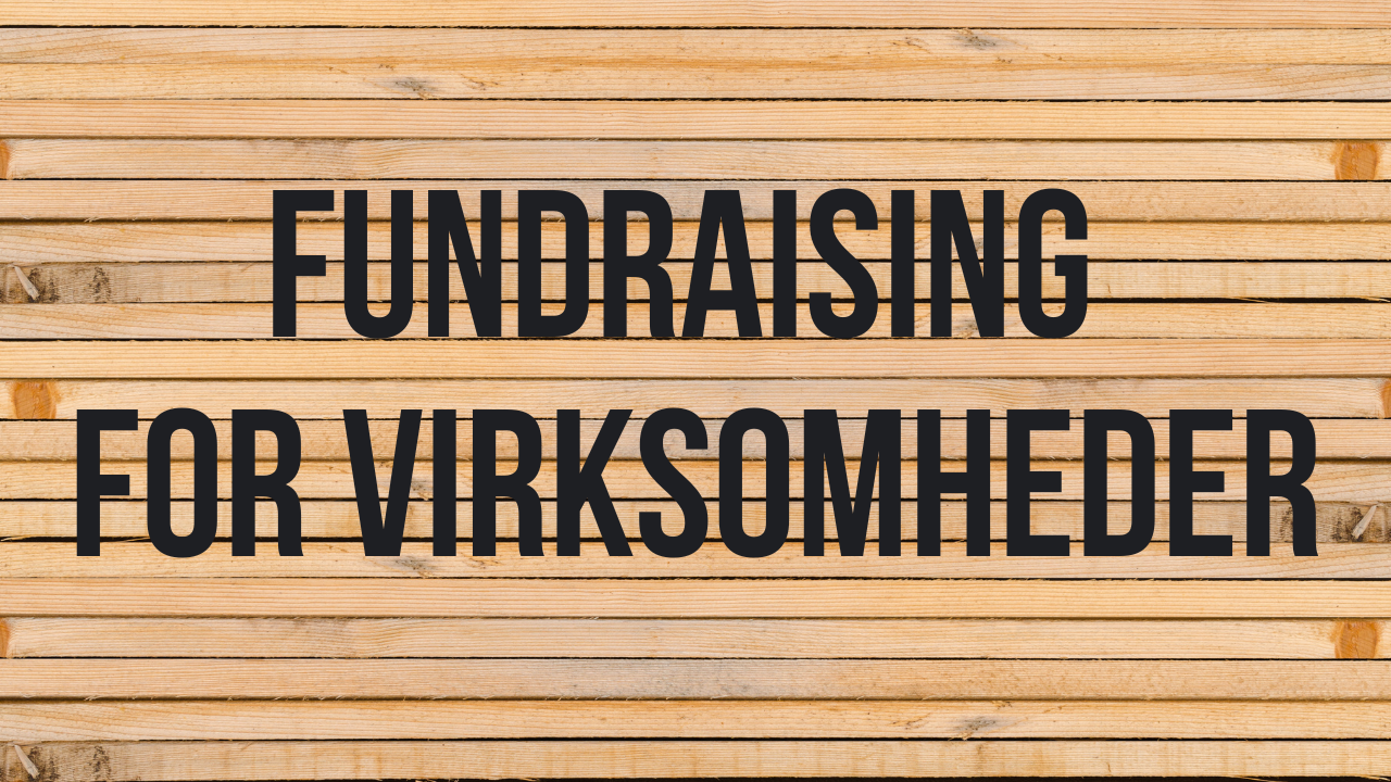 Kan dit næste projekt få ekstern finansiering?